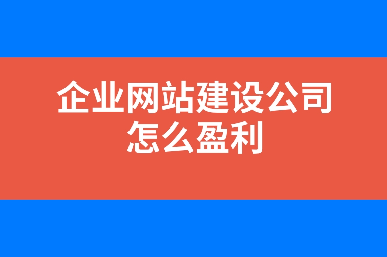 “企业网站建设公司怎么盈利”