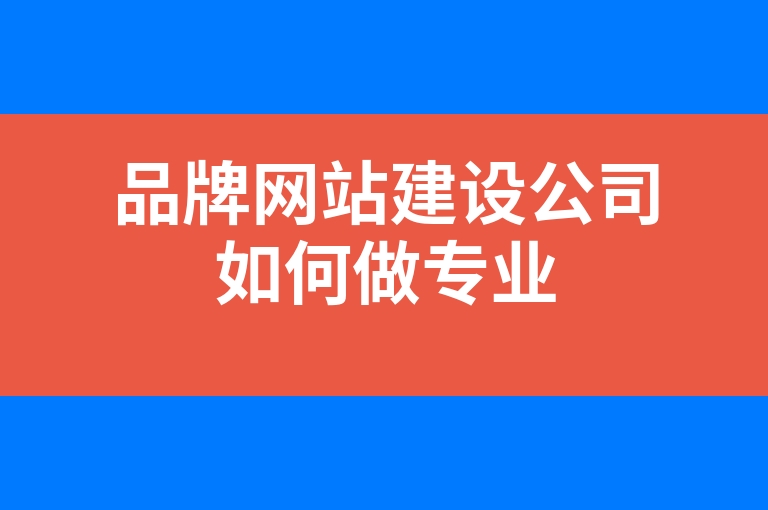 “品牌网站建设公司如何做专业”