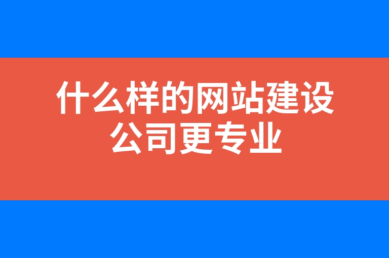 “什么样的网站建设公司更专业”