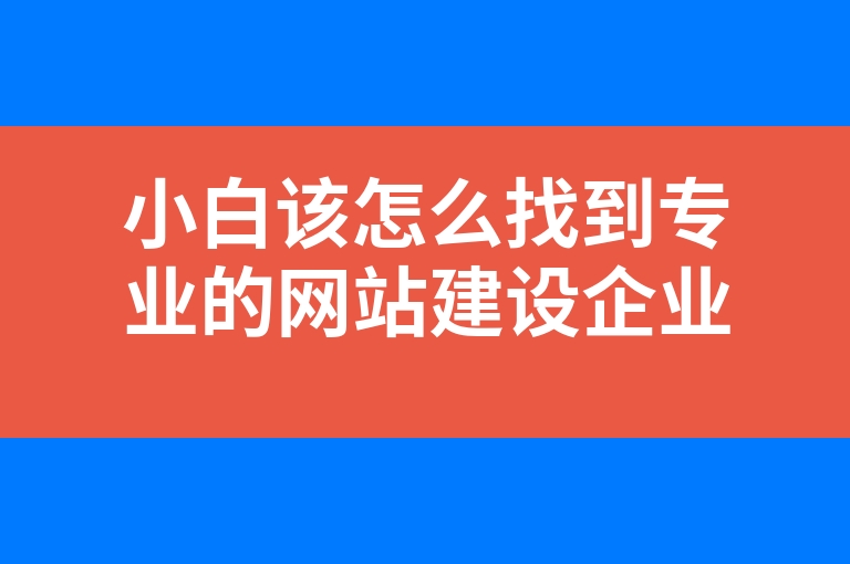 “小白该怎么找到专业的网站建设企业”