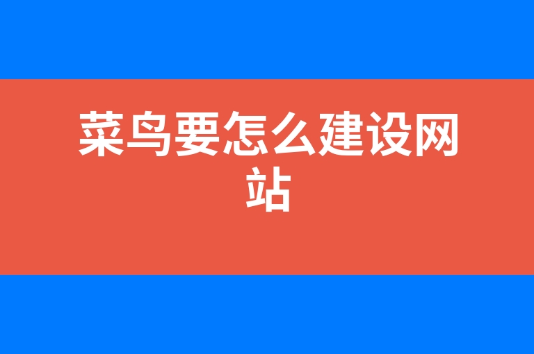 “菜鸟要怎么建设网站”