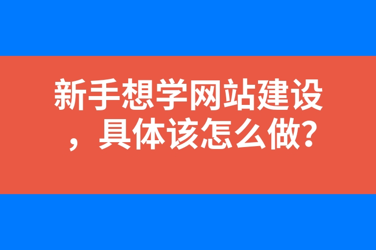 “新手想学网站建设，具体该怎么做？”